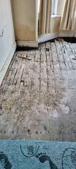 Damp and timber report for new mortgage
