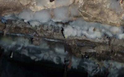 The Devastating effects of Dry Rot