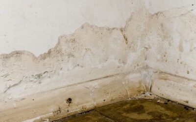 The Different Types of Damp: How to Identify and Treat Them
