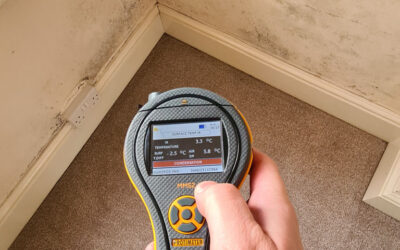 How to Spot Signs of Damp Before It Becomes a Major Issue
