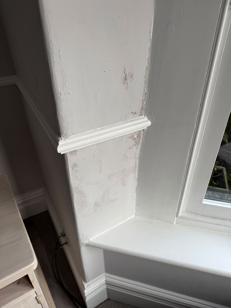 Damp on Bay Window